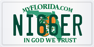 FL license plate NI66ER