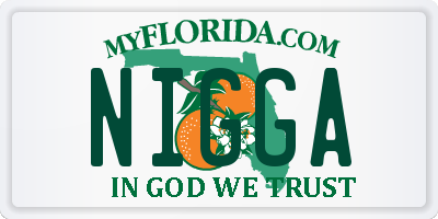 FL license plate NIGGA