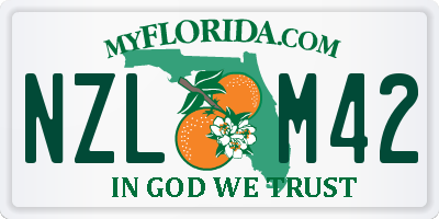 FL license plate NZLM42