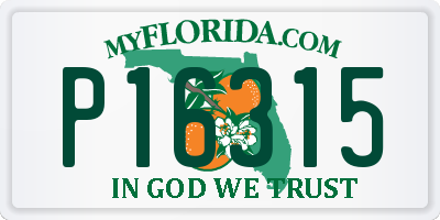 FL license plate P16315