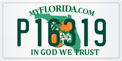 FL license plate P16319