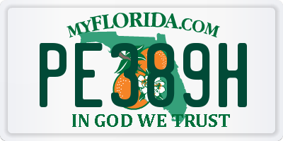 FL license plate PE389H