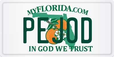 FL license plate PEJ0D