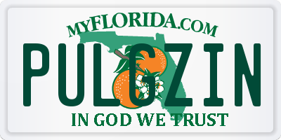 FL license plate PULGZIN