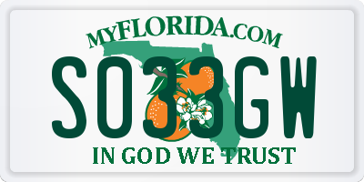 FL license plate S033GW