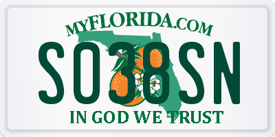 FL license plate S038SN