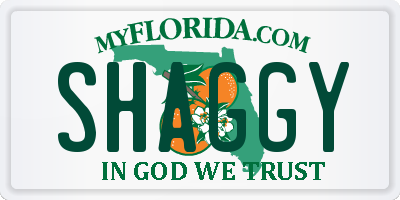 FL license plate SHAGGY