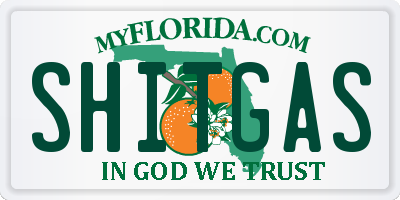 FL license plate SHITGAS