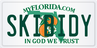 FL license plate SKIBIDY