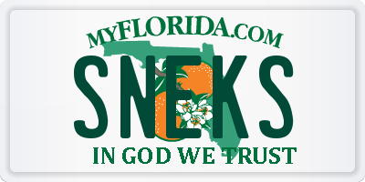 FL license plate SNEKS