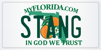 FL license plate STANG