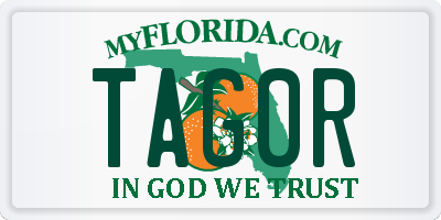 FL license plate TAG0R