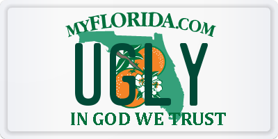 FL license plate UGLY