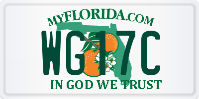 FL license plate WG17C