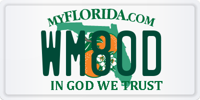 FL license plate WM80D