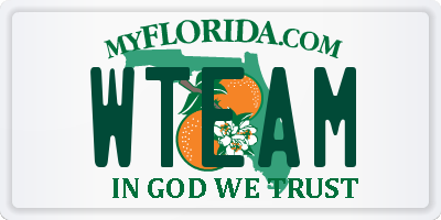 FL license plate WTEAM