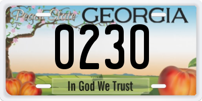 GA license plate 0230