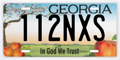 GA license plate 112NXS