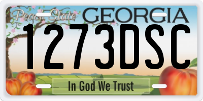 GA license plate 1273DSC