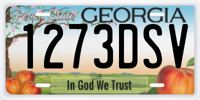 GA license plate 1273DSV