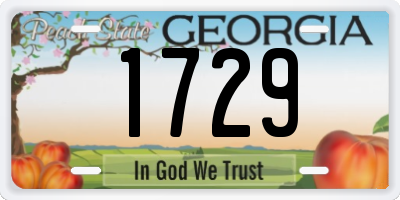 GA license plate 1729