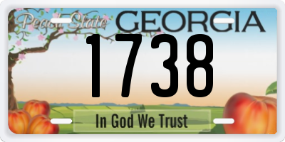 GA license plate 1738