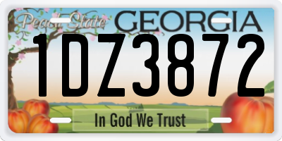 GA license plate 1DZ3872