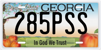 GA license plate 285PSS