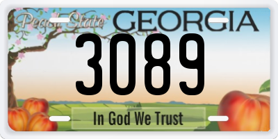 GA license plate 3089