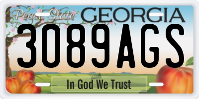 GA license plate 3089AGS