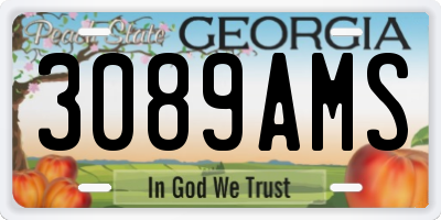 GA license plate 3089AMS