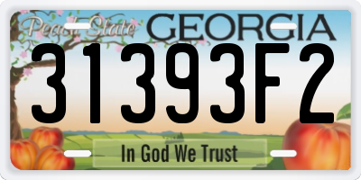 GA license plate 31393F2