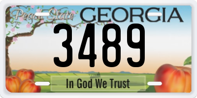 GA license plate 3489