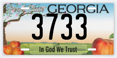 GA license plate 3733