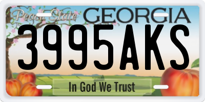 GA license plate 3995AKS