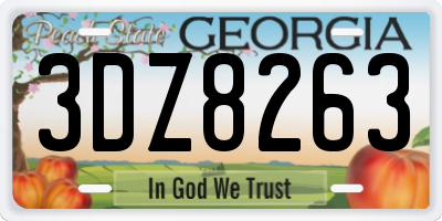 GA license plate 3DZ8263