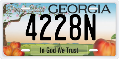 GA license plate 4228N