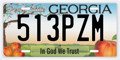 GA license plate 513PZM