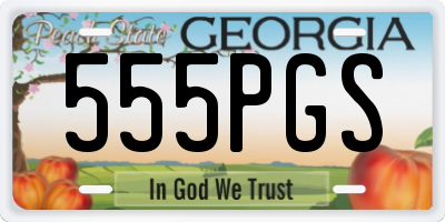 GA license plate 555PGS