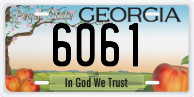 GA license plate 6061