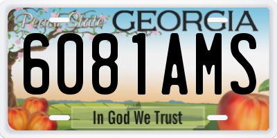 GA license plate 6081AMS