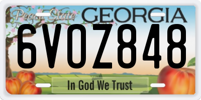 GA license plate 6VOZ848