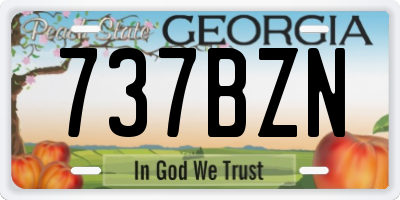 GA license plate 737BZN