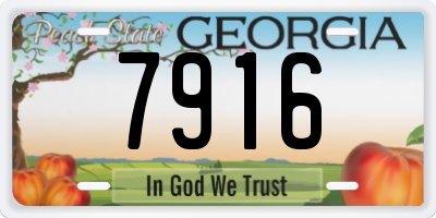 GA license plate 7916