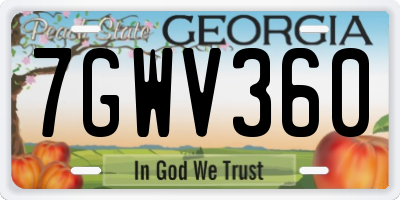 GA license plate 7GWV360