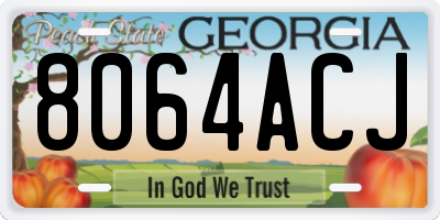 GA license plate 8064ACJ