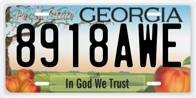 GA license plate 8918AWE