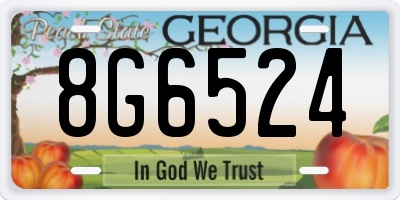 GA license plate 8G6524