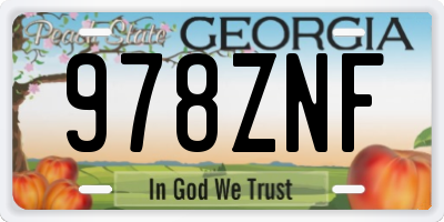 GA license plate 978ZNF