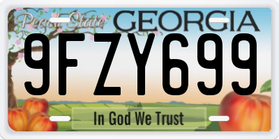 GA license plate 9FZY699